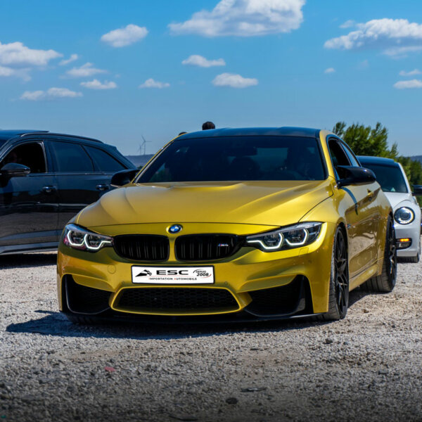 bmw-esc-ia